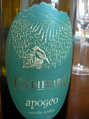 ���c�Z���N�g���C���ꗗ