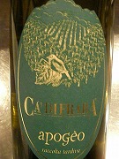 Apogeo Riesling '08 Ca'dei Frara